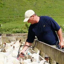 Swazi Microfleece Mens T-Shirt Olive -Swanndri Sales 259 2953 679 2